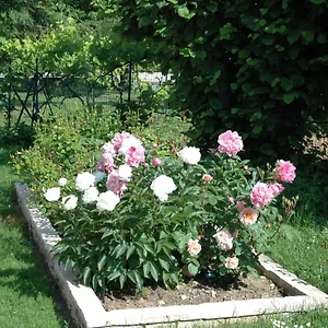 Le Jardin De Roses Dominique Loreau Saint-Bonnet-de-Mure
